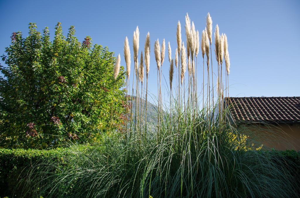 Anma Cottages Sole Lago Acquaseria Exterior photo
